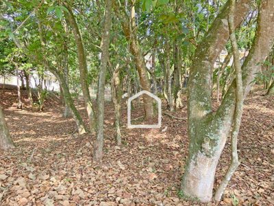 Loteamento e Condomínio, 1334 m² - Foto 4