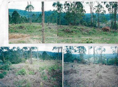 Terreno - Foto 5