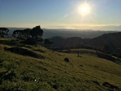 Fazenda, 97 hectares - Foto 3