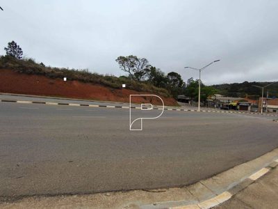 Terreno, 4 hectares - Foto 3