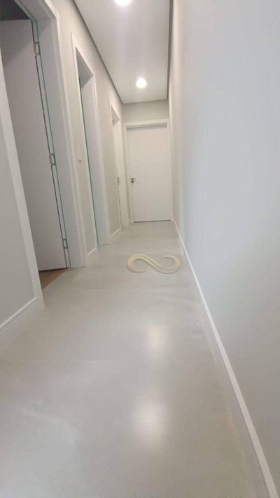 Casa, 3 quartos, 80 m² - Foto 3