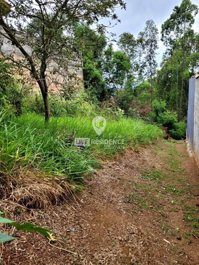 Terreno, 250 m² - Foto 2