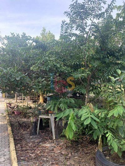 Terreno, 1 hectares - Foto 3