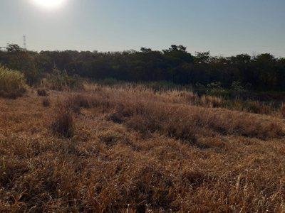 Terreno, 2500 m² - Foto 5
