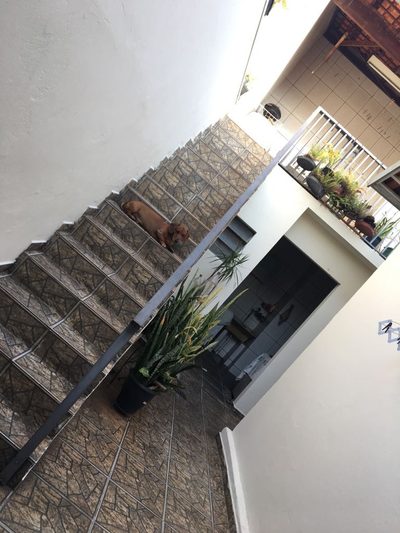 Casa, 4 quartos, 240 m² - Foto 2