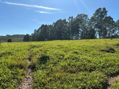 Fazenda - Foto 1