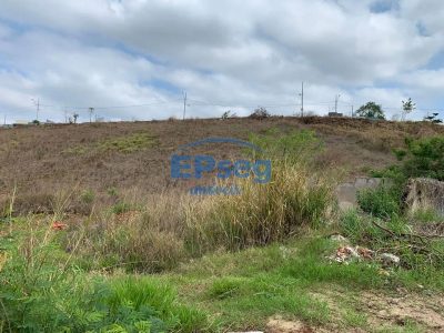 Terreno, 3 hectares - Foto 3
