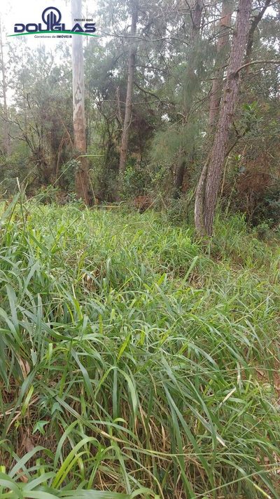 Terreno - Foto 2