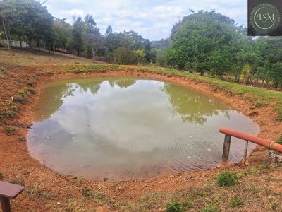 Fazenda, 55 hectares - Foto 1