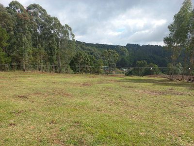 Terreno, 6470 m² - Foto 5