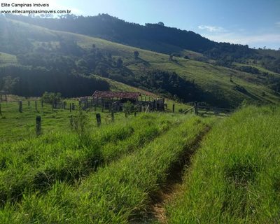 Fazenda, 3 quartos - Foto 5