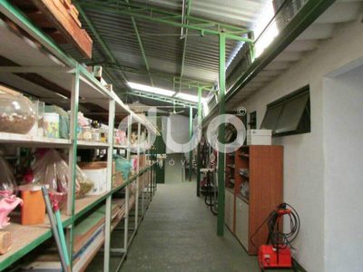 Casa, 3 quartos, 316 m² - Foto 3