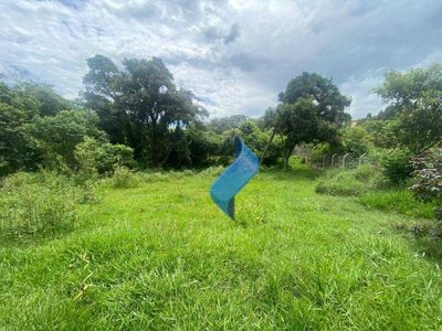 Terreno, 2 hectares - Foto 1