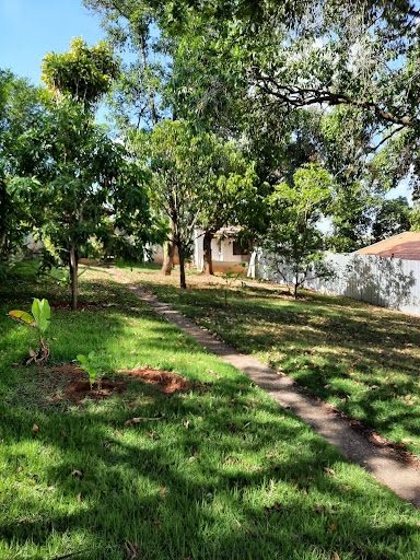 Chácara, 4 quartos - Foto 1