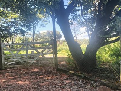 Terreno, 1 hectares - Foto 1