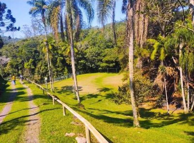 Sítio, 5 quartos, 4 hectares - Foto 4