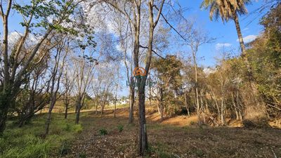 Terreno, 1000 m² - Foto 4