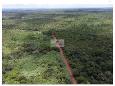 Fazenda, 233 m² - Foto 4