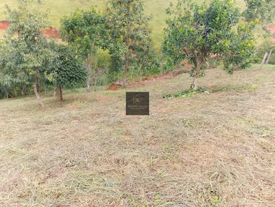 Terreno, 2500 m² - Foto 3