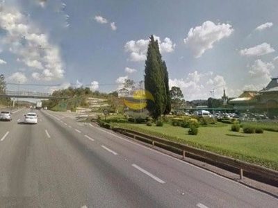 Terreno, 10 hectares - Foto 4