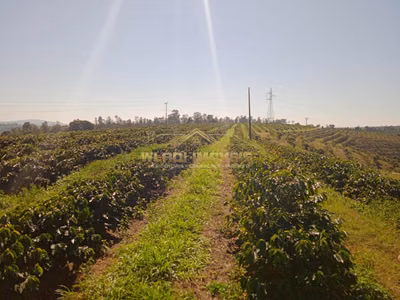 Fazenda - Foto 1
