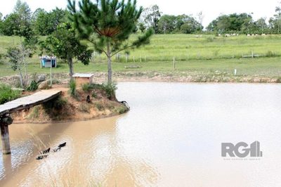 Sítio, 3 quartos, 5999 m² - Foto 5