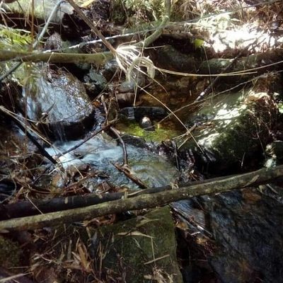 Sítio, 2 quartos, 4 m² - Foto 3