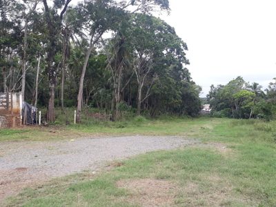 Terreno, 2 hectares - Foto 1