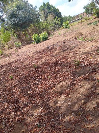 Terreno, 360 m² - Foto 2