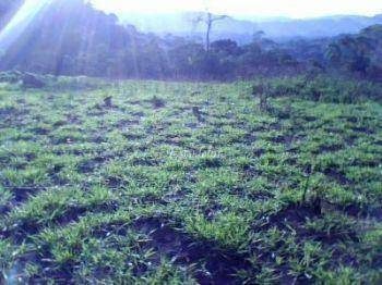Terreno, 5 hectares - Foto 5