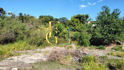 Terreno, 2 hectares - Foto 2