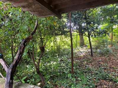 Terreno, 1724 m² - Foto 4