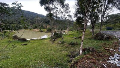 Terreno, 10000 m² - Foto 3