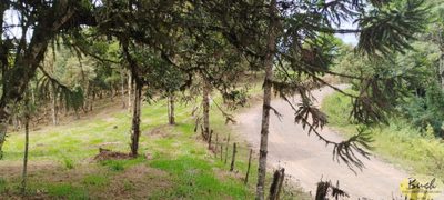 Terreno, 3 hectares - Foto 1
