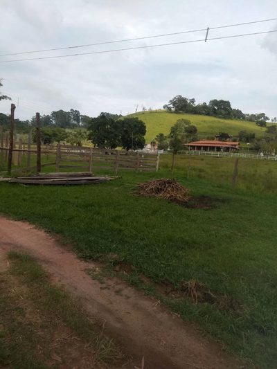 Sítio, 4 quartos, 41 hectares - Foto 3