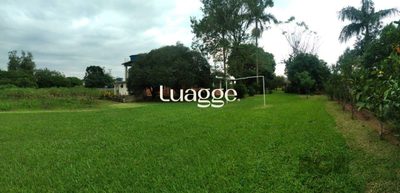 Sítio, 4 quartos, 248 m² - Foto 2