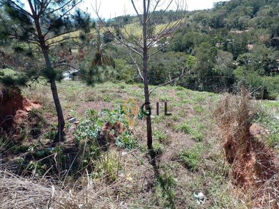 Terreno, 459 m² - Foto 2