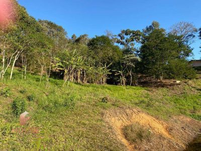 Terreno, 2500 m² - Foto 2