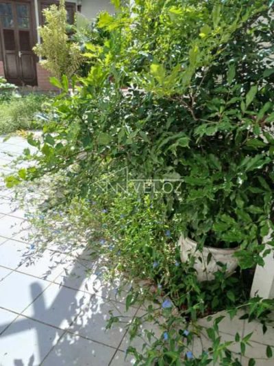 Sala-Conjunto, 302 m² - Foto 1