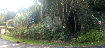 Casa de Condomínio - Foto 1
