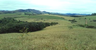 Fazenda, 220 hectares - Foto 4