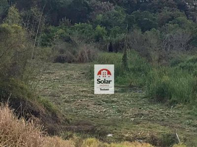 Terreno, 3 hectares - Foto 5