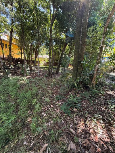 Terreno, 300 m² - Foto 5