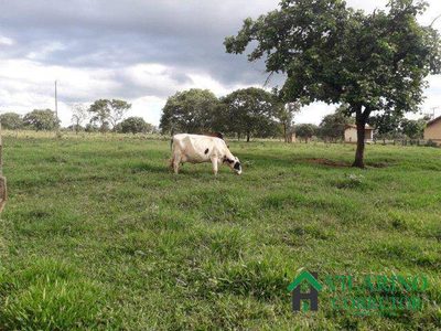 Fazenda, 24 hectares - Foto 5