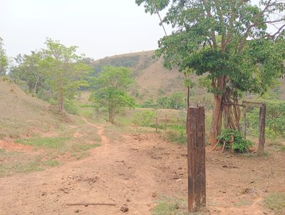Fazenda, 135520 hectares - Foto 4