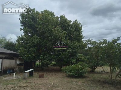 Casa, 4527 m² - Foto 4
