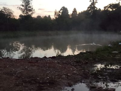 Sítio, 5 quartos, 2 hectares - Foto 3