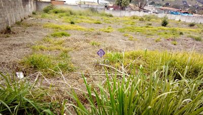 Terreno, 1500 m² - Foto 4
