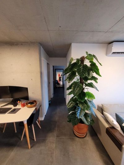 Apartamento - Foto 5