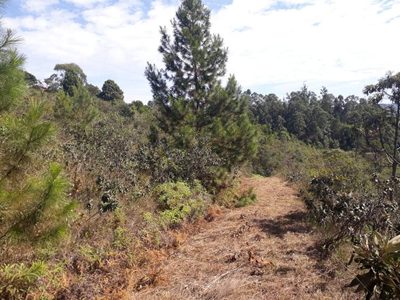 Loja-Salão, 20000 m² - Foto 3